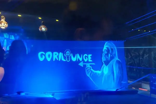 GORİLOUNGE - Resim 9