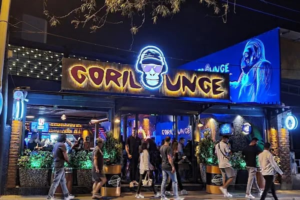 GORİLOUNGE - Resim 2