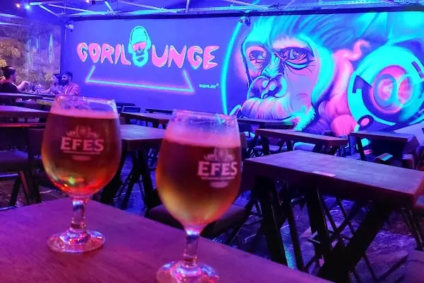 GORİLOUNGE - Resim 17