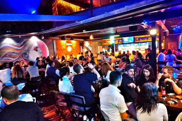 GORİLOUNGE - Resim 16