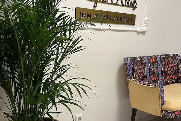 Leyla Kılıç Psikoloji Kliniği - Kocaeli Psikolog - Uzm. Klinik Psikolog - Psikoterapist - Resim 3