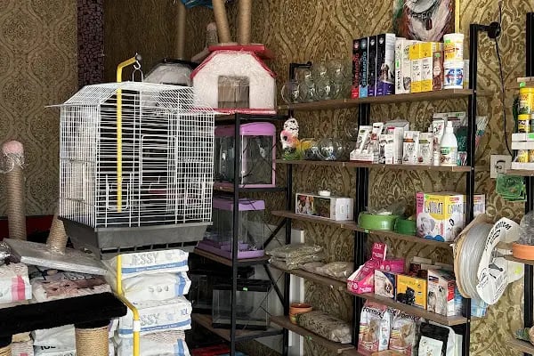 Tüylü pet shop - Resim 2