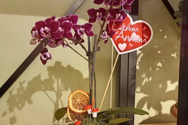 GÜLCE FLOWERS çiçekçi serdivan - Resim 5