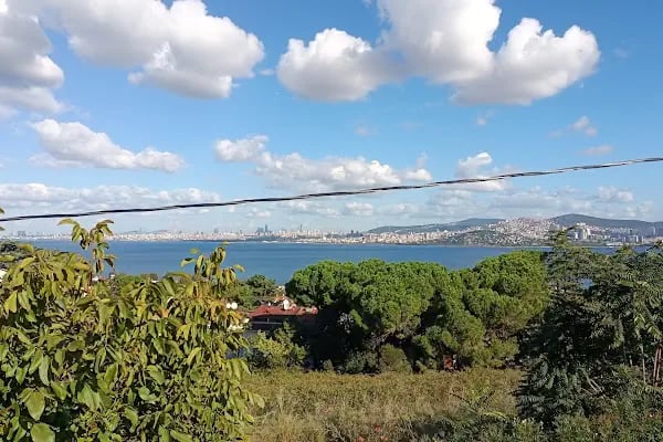 Büyükada Elisa Butik Otel - Resim 6