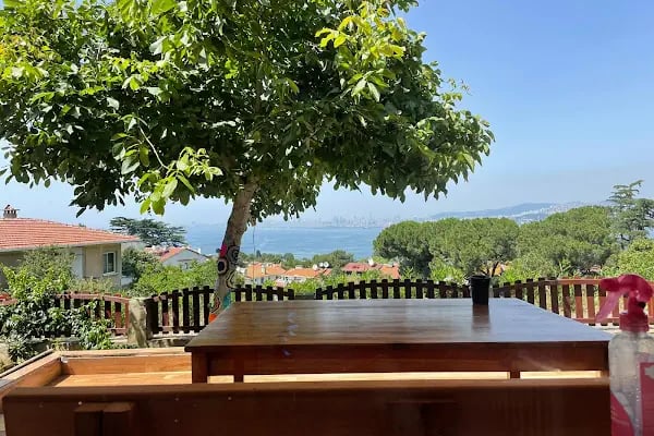 Büyükada Elisa Butik Otel - Resim 19