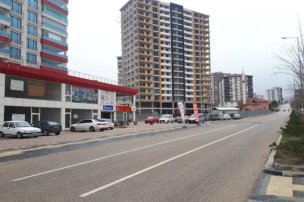 Aras Kargo Hasköy Şubesi - Resim 15