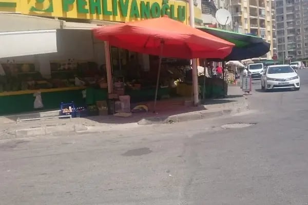 Hanif Pehlivanoğlu - Resim 3