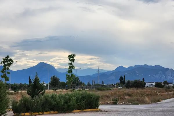 Halil'den Lezzetler - Resim 7