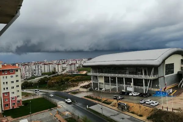 Edirne Olimpik Yüzme Havuzu - Resim 6