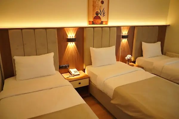 Atatürk Palas - A Luxury Collection Thermal Spa &amp; Convention Center - Resim 2