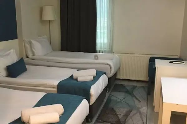 Atatürk Palas - A Luxury Collection Thermal Spa &amp; Convention Center - Resim 18
