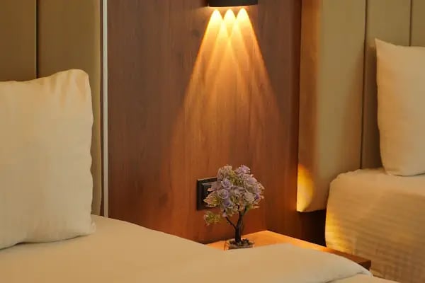 Atatürk Palas - A Luxury Collection Thermal Spa &amp; Convention Center - Resim 10