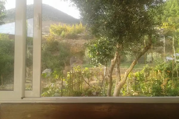 Malta Dil Okulları - Resim 3