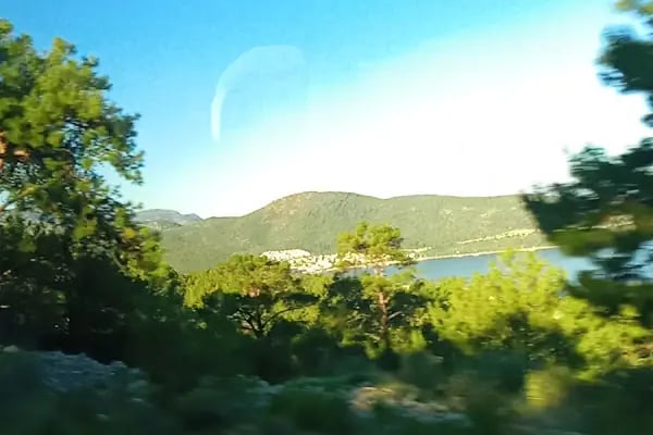 Torba Geçici Hayvan bakımevi - Resim 5