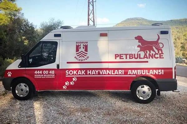 Torba Geçici Hayvan bakımevi - Resim 4