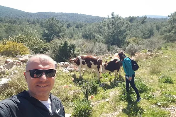 Torba Geçici Hayvan bakımevi - Resim 8