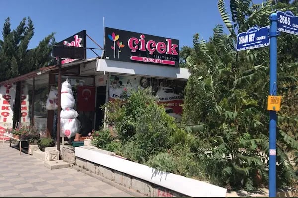 Eryaman Çiçekçilik - Resim 8