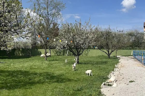 VİLLA BAHÇE CAFE RESTAURANTE ÇİFTLİK - Resim 7