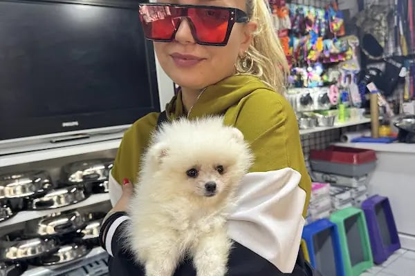 Antalya 07 PetShop - Resim 19