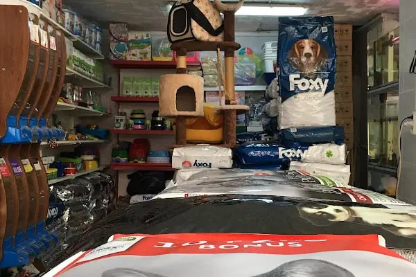 Antalya 07 PetShop - Resim 13