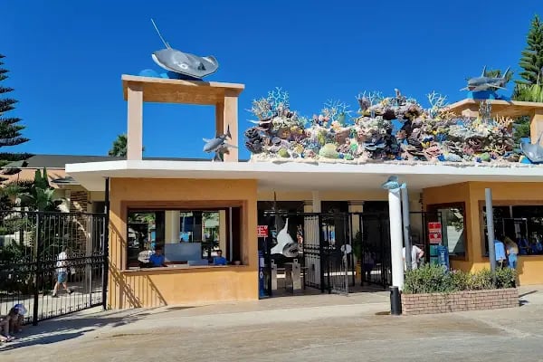 Sealanya Dolphinpark Seapark - Resim 19
