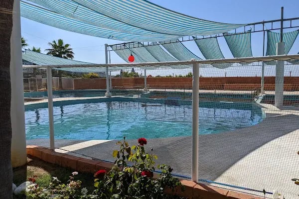 Sealanya Dolphinpark Seapark - Resim 18
