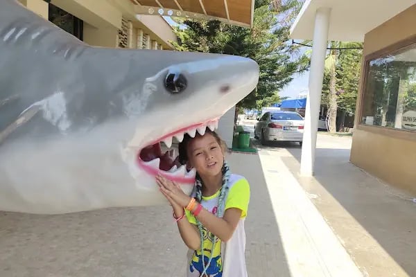 Sealanya Dolphinpark Seapark - Resim 11