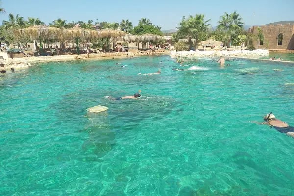 Sealanya Dolphinpark Seapark - Resim 5