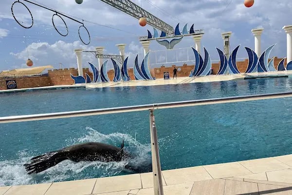 Sealanya Dolphinpark Seapark - Resim 3