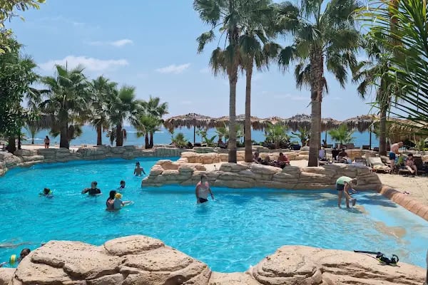 Sealanya Dolphinpark Seapark - Resim 16