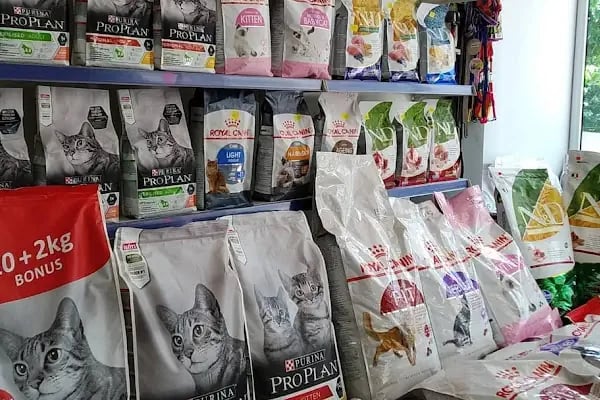 Balım Petshop - Resim 2