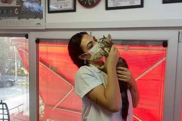 Sevgi Veteriner Kliniği - Resim 6