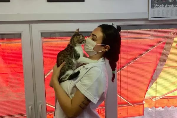 Sevgi Veteriner Kliniği - Resim 5