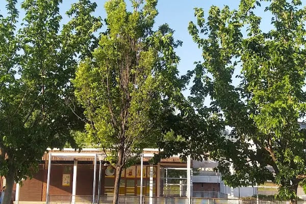Yesilvadi Yuzme Havuzu - Resim 5