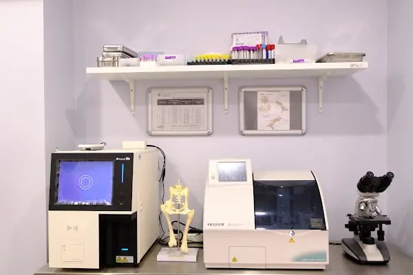 Yeşilköy Petiatri Pet ve Kuş Veteriner Kliniği - Resim 14
