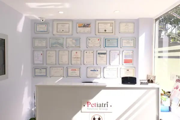 Yeşilköy Petiatri Pet ve Kuş Veteriner Kliniği - Resim 4