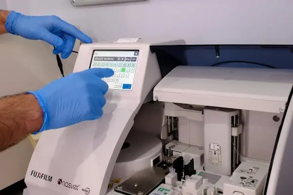 Yeşilköy Petiatri Pet ve Kuş Veteriner Kliniği - Resim 8