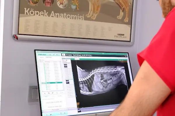 Yeşilköy Petiatri Pet ve Kuş Veteriner Kliniği - Resim 19