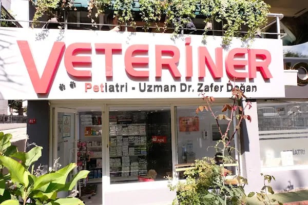 Yeşilköy Petiatri Pet ve Kuş Veteriner Kliniği - Resim 7
