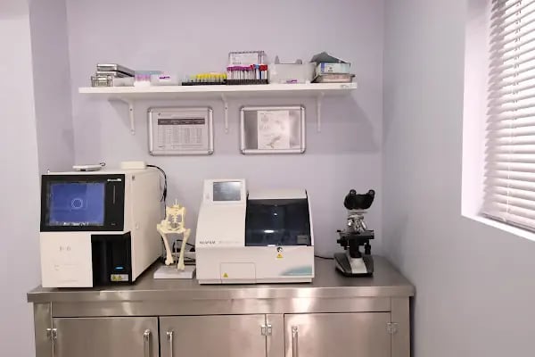 Yeşilköy Petiatri Pet ve Kuş Veteriner Kliniği - Resim 3