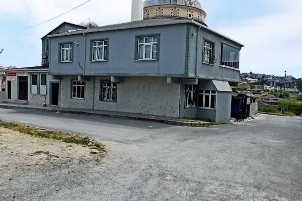 Taşoluk Bağlar Cami - Resim 12
