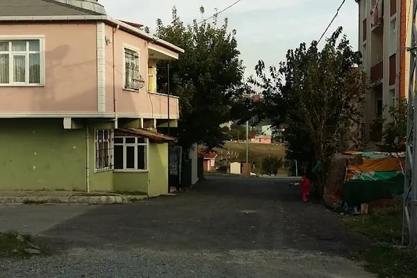 Taşoluk Bağlar Cami - Resim 4