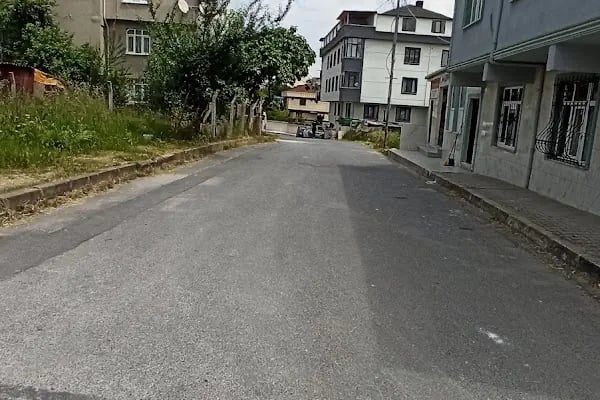 Taşoluk Bağlar Cami - Resim 15