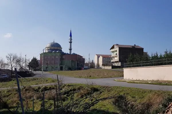 Taşoluk Bağlar Cami - Resim 18