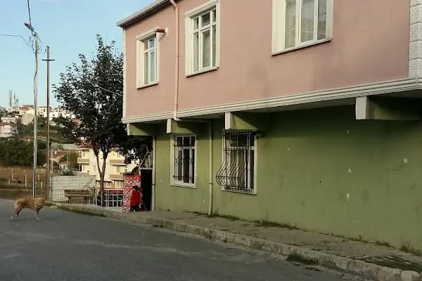 Taşoluk Bağlar Cami - Resim 13