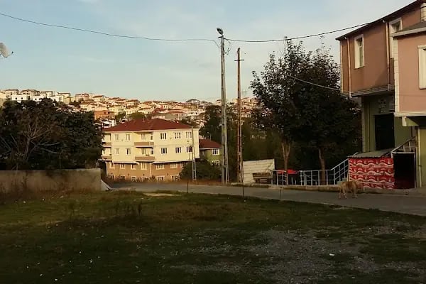Taşoluk Bağlar Cami - Resim 2