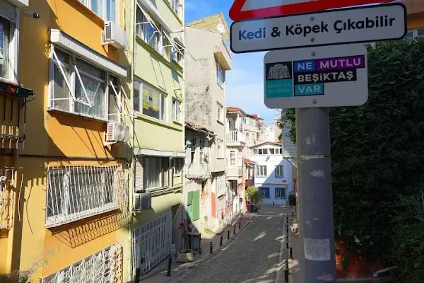 Meryem Ana Ermeni Kilisesi - Resim 20