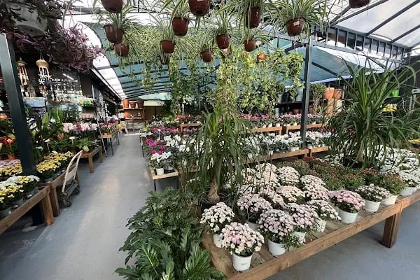 Maki Garden Centre - Resim 18