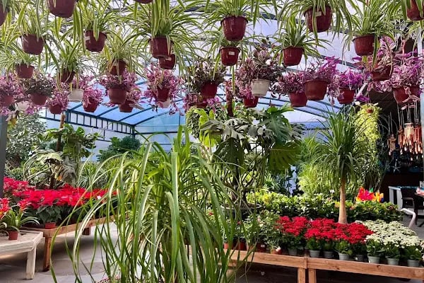 Maki Garden Centre - Resim 7