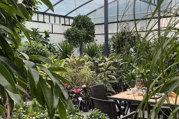 Maki Garden Centre - Resim 13